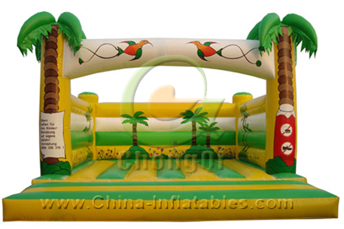 inflatable bouncer